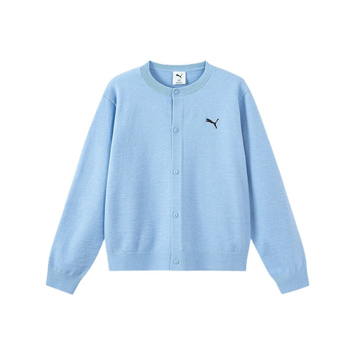 PUMA Ледяной Синий 80902 Kids Свитера