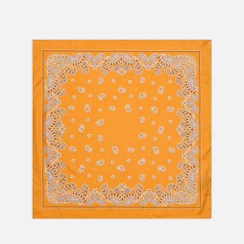 Бандана Anonymous Ism Paisley＆Dots Silk