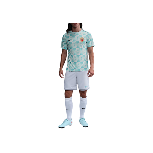 Nike Dri-Fit Norway ACADEMY Pro Футбол Джерси Мужской
