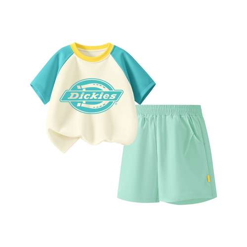 Dickies Унисекс Повседневная Спортивная Одежда