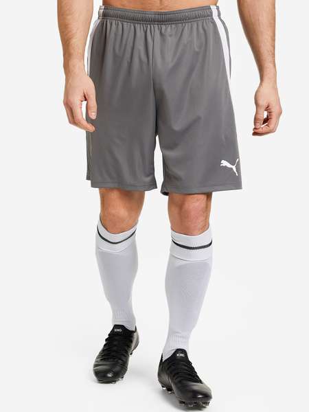 Шорты мужские PUMA teamLIGA