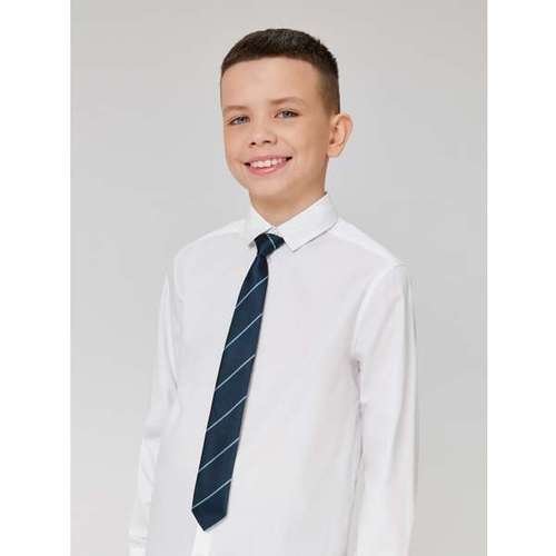 Галстук ACOOLA:Б/Р