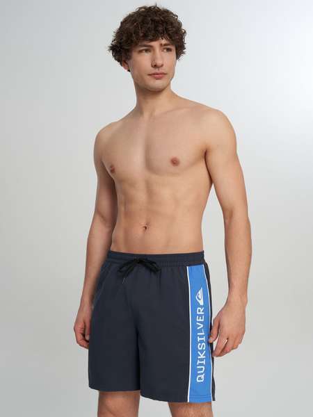 Шорты плавательные мужские Quiksilver Everyday Clicker Volley 17