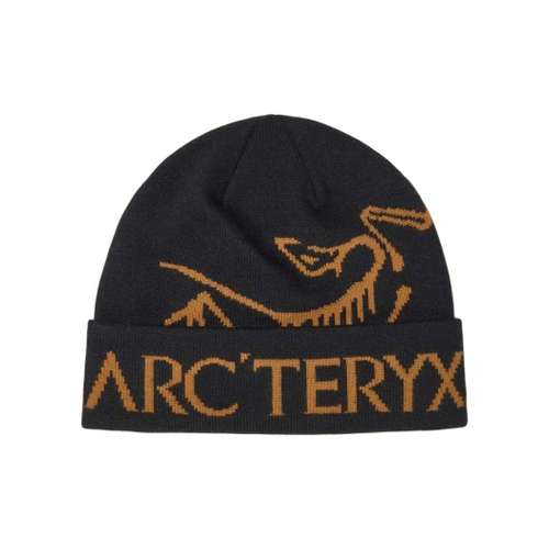 Arc'teryx Переработанный полиэстер Шапки-бини Унисекс Черный