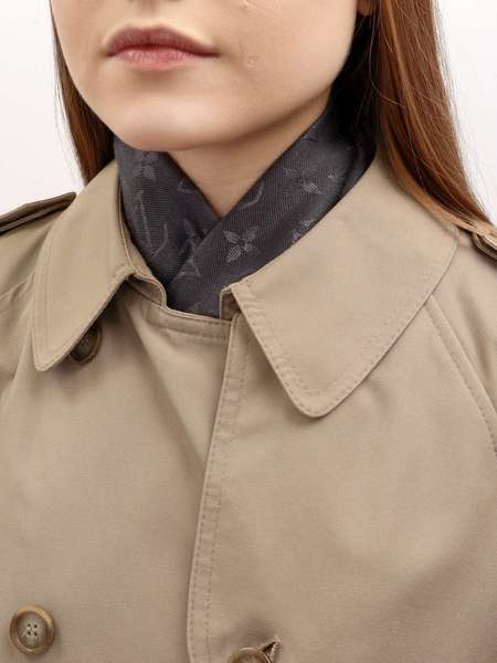 Louis Vuitton Scarf