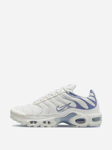 Кроссовки Nike Air Max Plus Ashen Slate