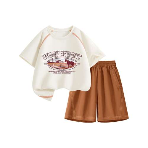 Dickies Kids Повседневная Спортивная Одежда