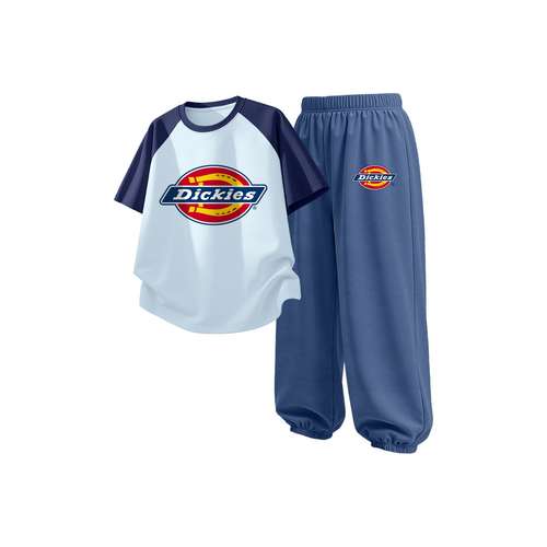 Dickies Kids Повседневные спортивные костюмы