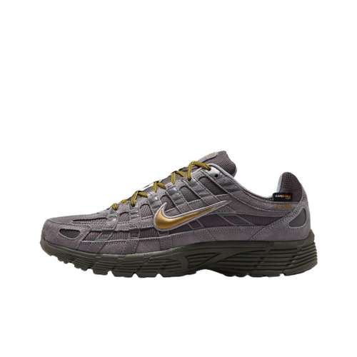 Nike P 6000 Беговые кроссовки Унисекс Серый Золото