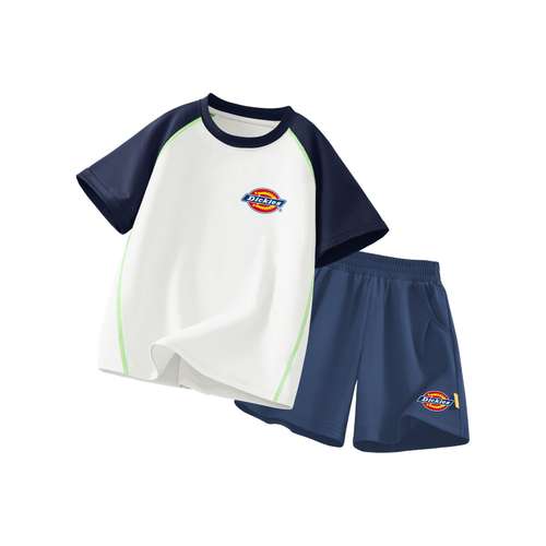 Dickies Kids Повседневные спортивные костюмы
